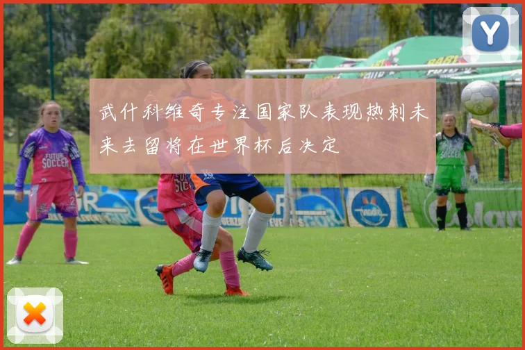 武什科维奇专注国家队表现热刺未来去留将在世界杯后决定