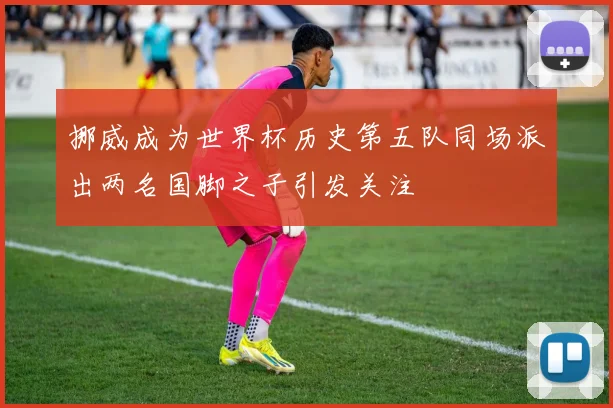 挪威成为世界杯历史第五队同场派出两名国脚之子引发关注
